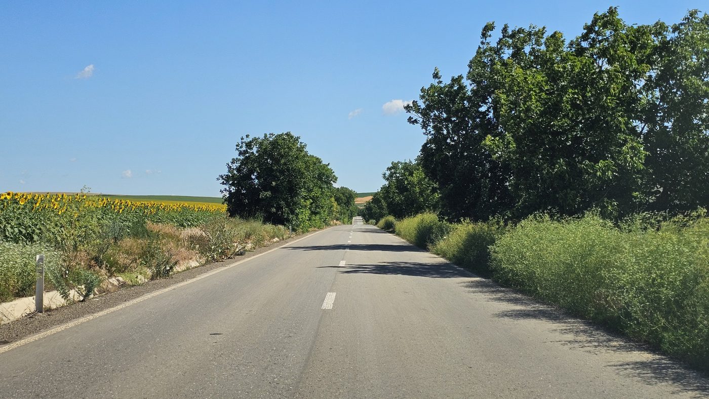 Drumul spre Satu Nou, Belcești